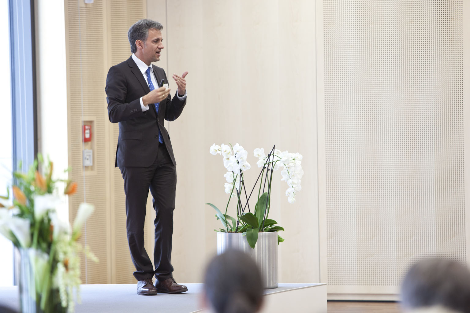 Klicken Sie auf das Bild, um es zu vergrößern